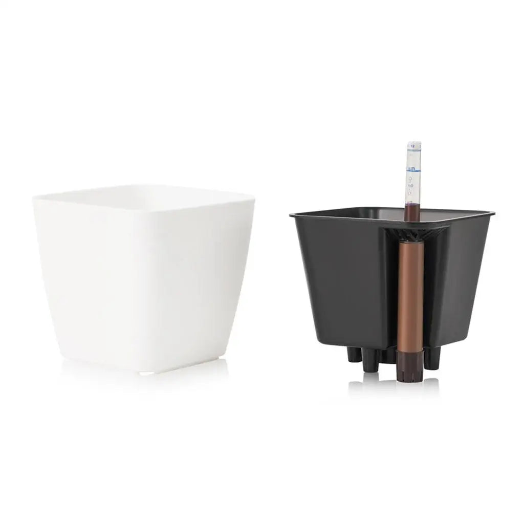 Pot Plastique Blanc Plante